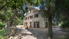 Casale Scola Cetona Cortona